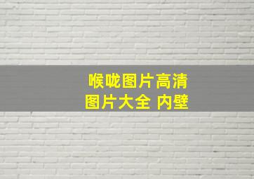 喉咙图片高清图片大全 内壁